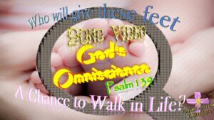 Gods Omniscience